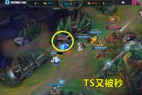 TheShy爆冷击败中国队，绝杀引爆全场！的简单介绍乐动·LDSports(中国)体育官网