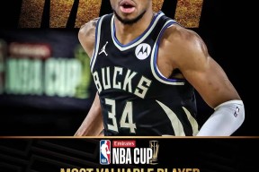 关于詹姆斯新星出色防守表现惊艳，法国队未来可期！的信息乐动·LDSports(中国)体育官网